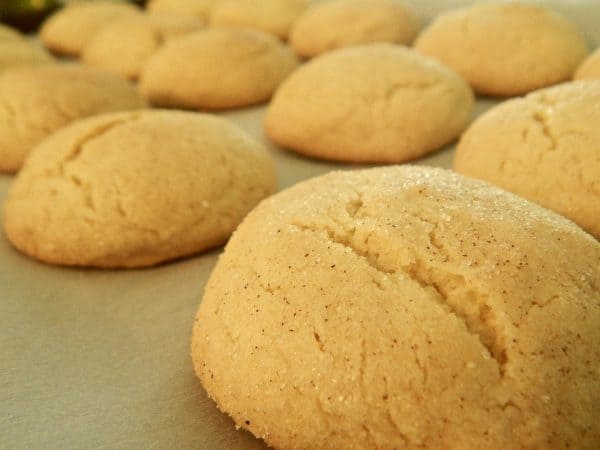 Low Carb Cinnamon Butter Cookies